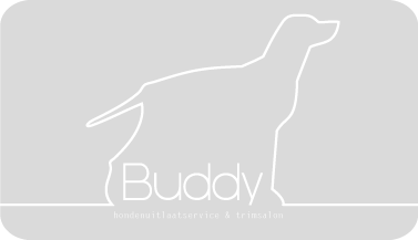 logo buddy grijs